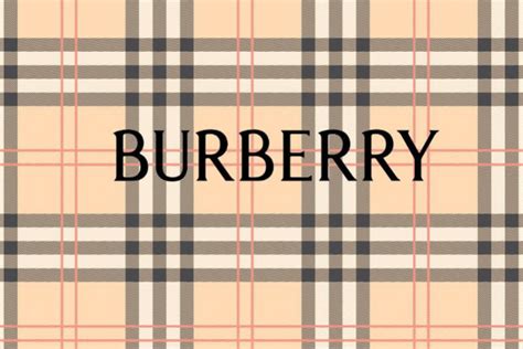 burberry brand guidelines|Burberry plc safety codes.